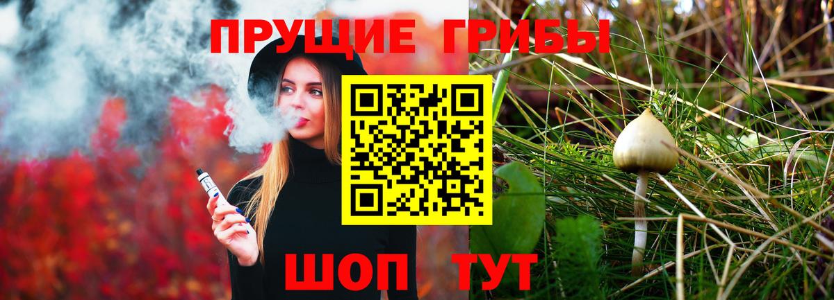 Псилоцибиновые грибы Cubensis Лесной
