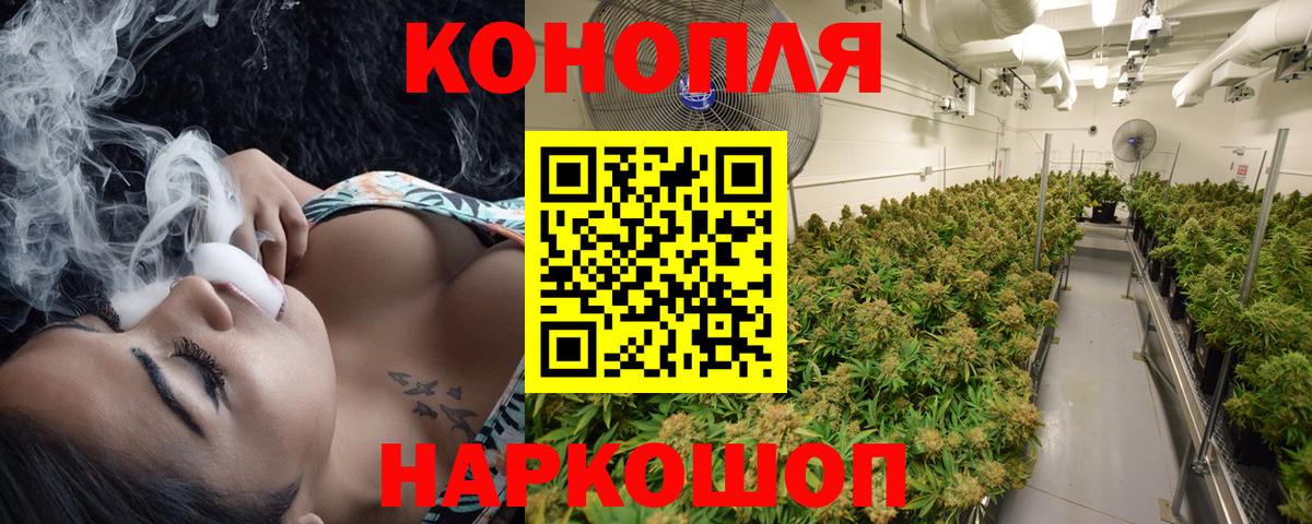Канабис White Widow  Канабис SATIVA & INDICA  Марихуана семена  Вход с VPN  Лесной 